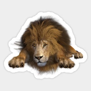 Big lion resting Sticker